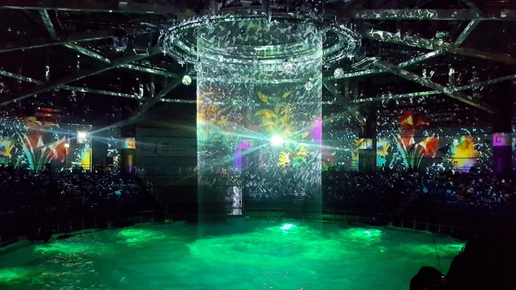 aquapark-event